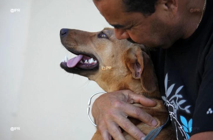 Vendredi 03 Août 2012 

SPA (Société Protectrice des Animaux) Photo Cristelle Belhote