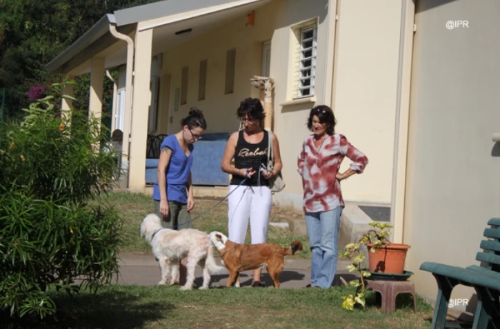 Vendredi 03 Août 2012 

SPA (Société Protectrice des Animaux) Photo Cristelle Belhote