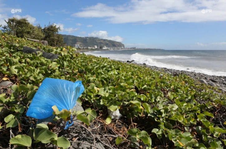 Déchets sur le sentier littoral Nord