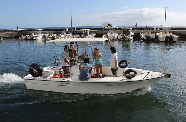 Mercredi 8 août 2012 - Les opérations de marquage de requins menées par l'IRD ont repris dans l'Ouest
