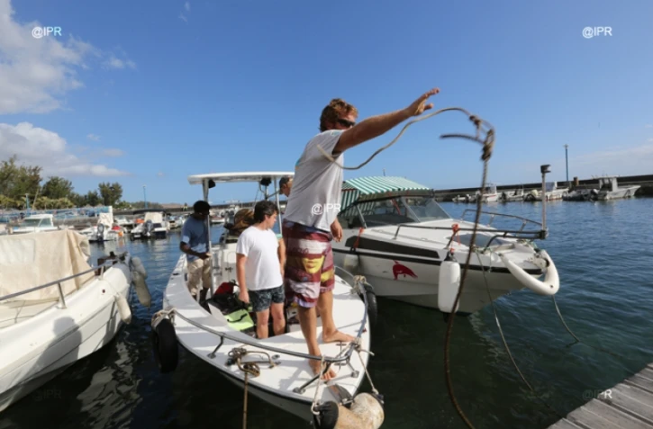 Mercredi 8 août 2012 - Les opérations de marquage de requins menées par l'IRD ont repris dans l'Ouest