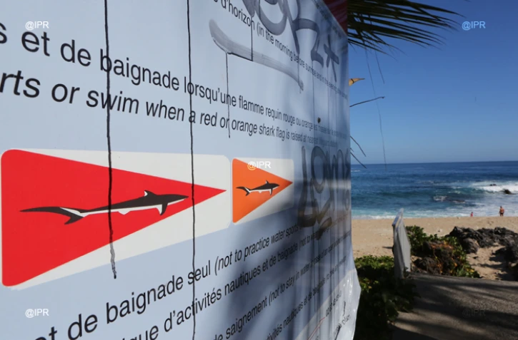 Plage de Boucan