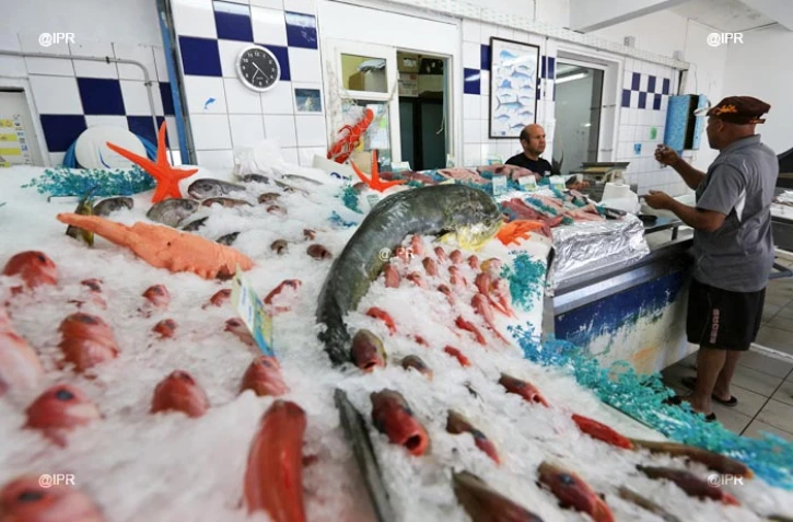 "Les Réunionnais ne veulent pas du requin mangeur d'hommes"