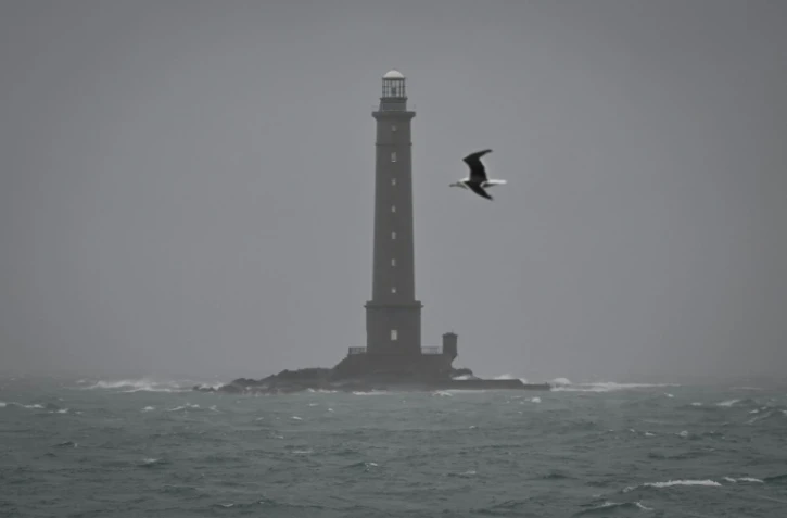 Un goéland marin survole le phare de Goury, à Auderville, près de La Hague, dans le nord-ouest de la France, le 8 janvier 2026