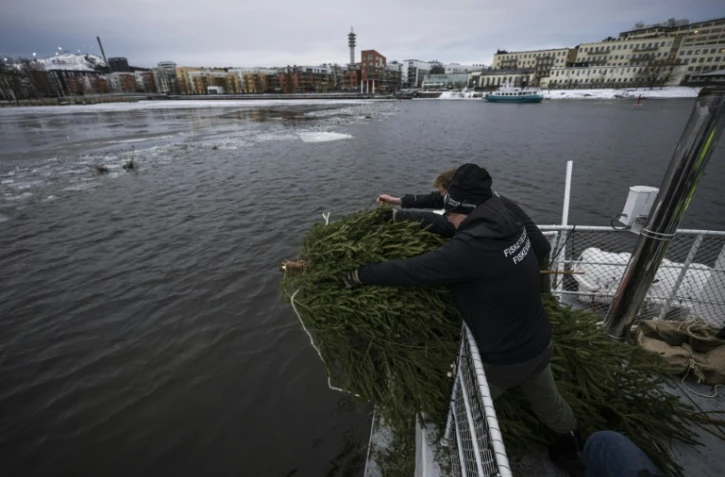 Des membres de l'association de pêche suédoise Sportfiskarna jettent des sapins de Noël, collectés après les fêtes, dans les eaux un lac d'une zone industrielle à Stockholm, le 12 janvier 2024 en Suède