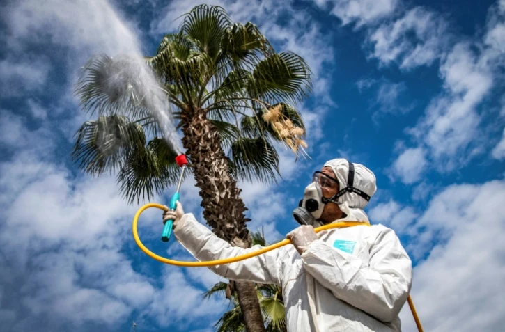 Un employé du ministère de la Santé marocain désinfecte une rue de Rabat, le 22 mars 2020