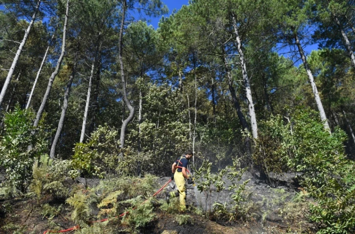 Un pompier intervient près de Bessèges dans le Gard, le 8 juillet 2022