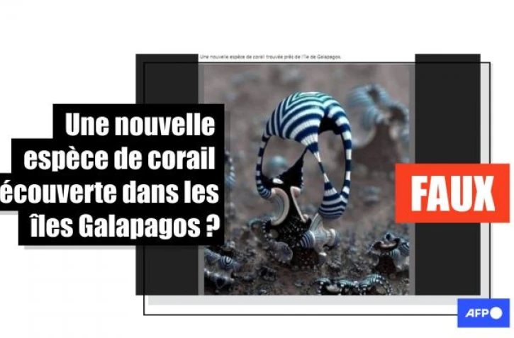   Cette image montre une création artistique et non une nouvelle espèce de corail