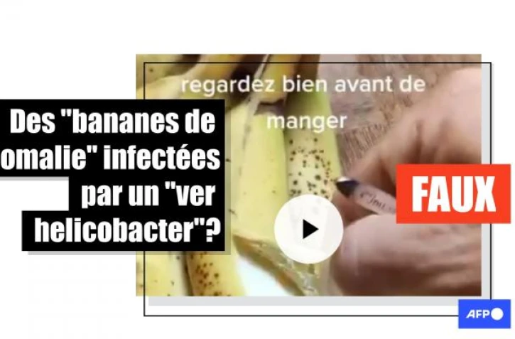   Attention à cette publication sur des "bananes de Somalie" contenant un "ver helicobacter"