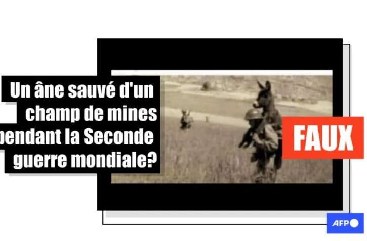   Non, cette photo ne montre pas un soldat sauvant un âne d'un champ de mines pendant la Seconde guerre mondiale
