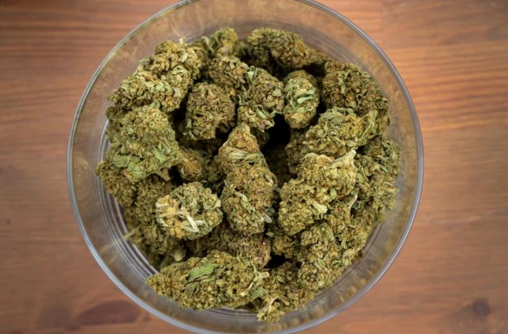   Les approximations de Gérald Darmanin sur les dangers du cannabis