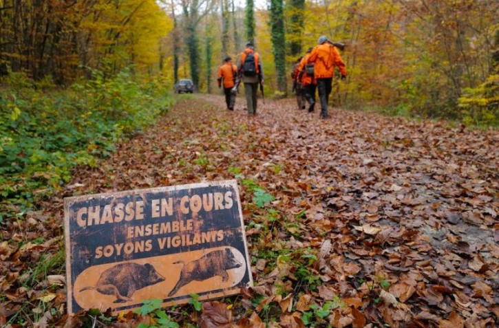   Non, un panneau "chasse en cours" n'oblige pas les promeneurs à rebrousser chemin