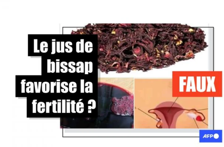   Le jus de bissap n&rsquo;a aucun effet sur la fertilité