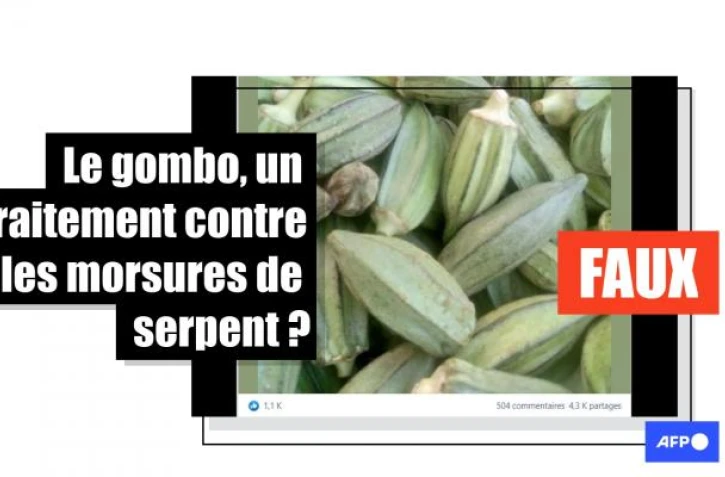   Non, le gombo ne soigne pas les morsures de serpent