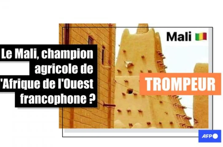   Attention à ces performances agricoles attribuées au Mali