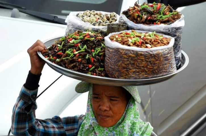   Attention à ces affirmations trompeuses sur la consommation d'insectes