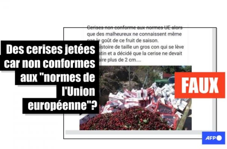   Non, les "normes de l'Union européenne" n'interdisent pas la vente de cerises de plus de 2 centimètres