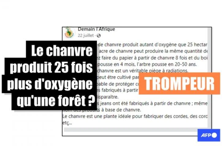   Attention à ces affirmations trompeuses sur les qualités du chanvre industriel