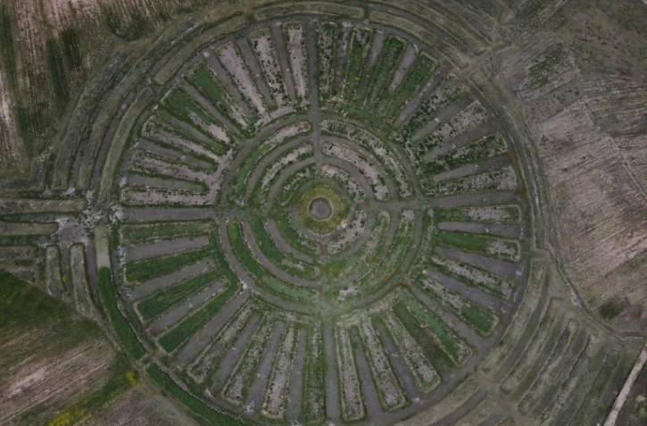 Vue aérienne d'un Waru Waru creusé dans un champ à Acora, dans la région de Puno, le 1er février 2024 au Pérou