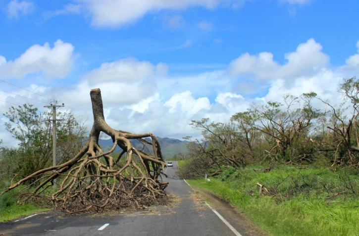 Photo non datée, fournie par le gouvernement des îles Fidji le 22 février 2016, montrant un arbre déraciné après le passage du cyclone Winston dans l'ouest des Fidji