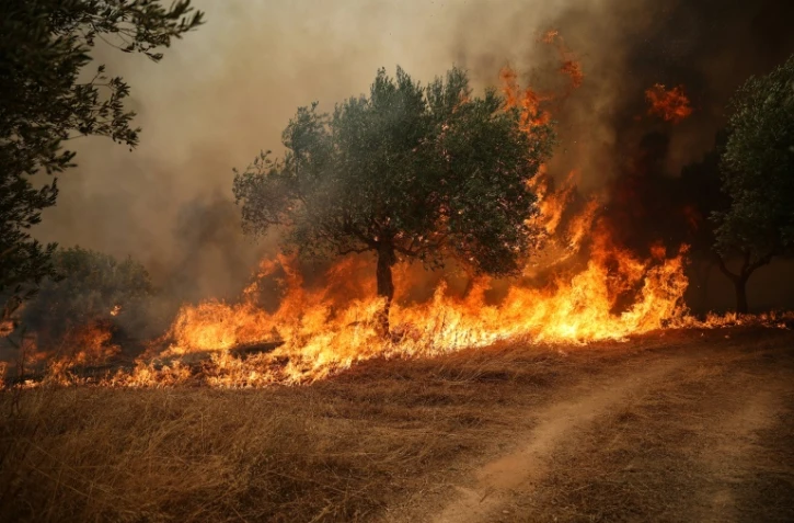Un incendie de forêt ravageant des arbres dans la région de Béotie, à l'ouest d'Athènes, le 2 août 2026