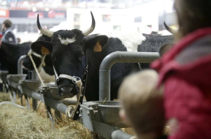 Des visiteurs au Salon de l'Agriculture le 25 février 2017 à Paris