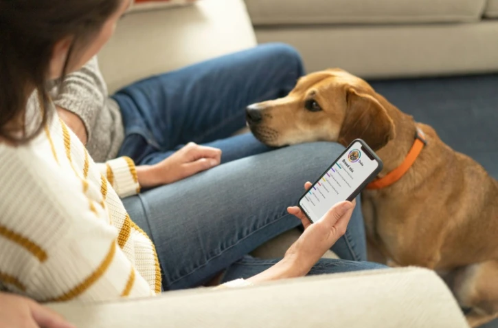 Photo fournie par Embark Veterinary le 15 avril, montrant une personne en train de consulter les résultats du test de l'ADN de son chien sur son téléphone