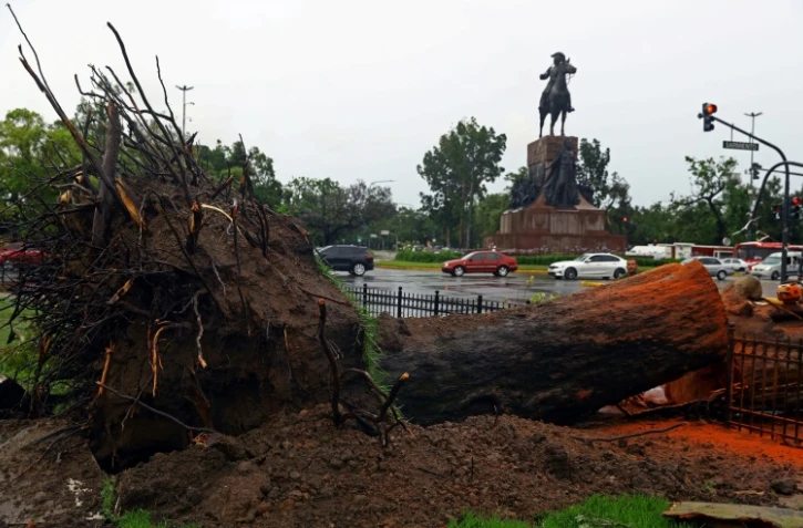 Un arbre dĂ©racinĂ© aprĂšs une tempĂȘte qui a fait au moins 16 morts et causĂ© de nombreuses destructions dans plusieurs villes du centre de l'Argentine, le 17 dĂ©cembre 2023 Ă Buenos Aires