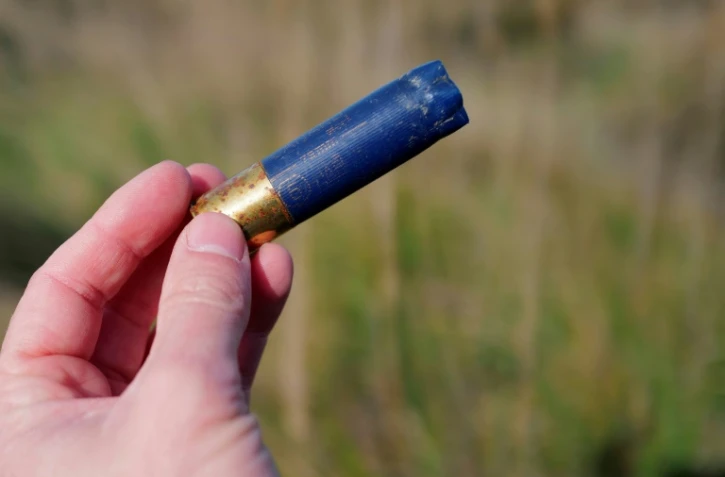 Une douille de plombs trouvée au Sambuc, près d'Arles, en Camargue, le 27 février 2025 