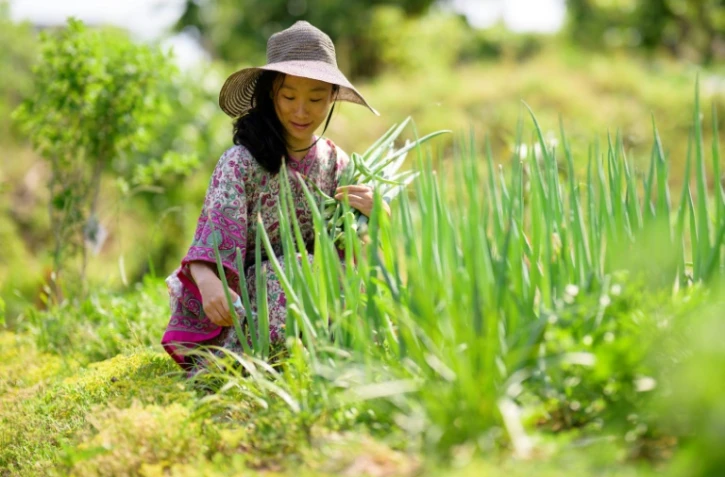 La youtubeuse Seen Aromi récolte des oignons verts près de chez elle, dans la province de Gyeonggi-do, le 29 mai 2024 en Corée du Sud
