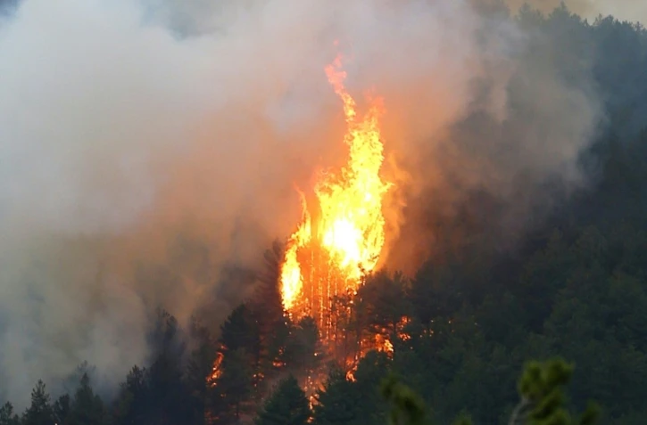Un incendie de forêt en Corse en octobre 2017