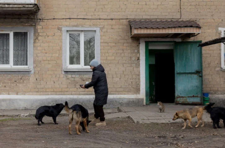 Raïssa nourrit des chiens errants affamés, le 13 mars 2025 à Bilytske, dans la région de Donetsk, en Ukraine
