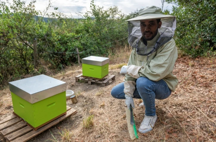 Le réfugien érythréen Abel Yosef Abraham devant les deux ruches qu'il vient d'acquérir, le 26 août 2020 à Pessat-Villeneuve, dans le Puy-de-Dôme