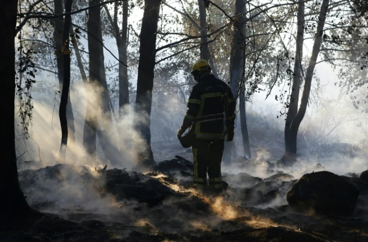Un pompier après un incendie à Pietracorbara en Haute-Corse, le 12 août 2017