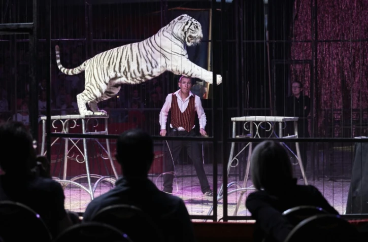 Le dompteur Oleg Balutel sous le chapiteau du cirque Medrano, à Lyon le 16 octobre 2016