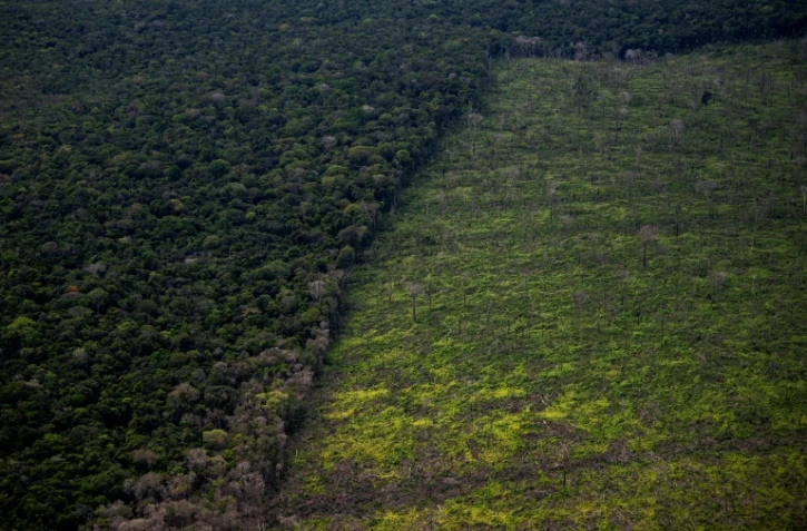 Vue aérienne d'un secteur déboisé d'Amazonie, entre Manaus et Manicoré, au Brésil, le 6 juin 2022