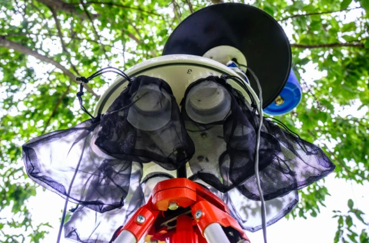 Des filets utilisés pour piéger les moustiques sont attachés à un dispositif de suivi des moustiques utilisé par l'Agence coréenne de contrôle et de prévention des maladies (KDCA) au Dorasan Peace Park à Paju, près de la frontière fortifiée séparant la Corée du Nord et la Corée du Sud, le 30 juillet 2024