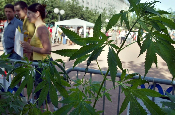 Des personnes se renseignent sur le cannabis, le 18 juin 2002 à Lyon