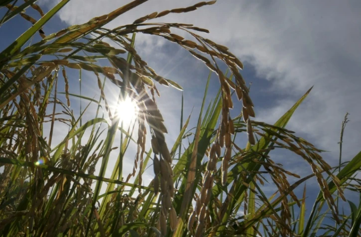 Climat: le mois dernier a été le mois de mai le plus chaud jamais enregistré