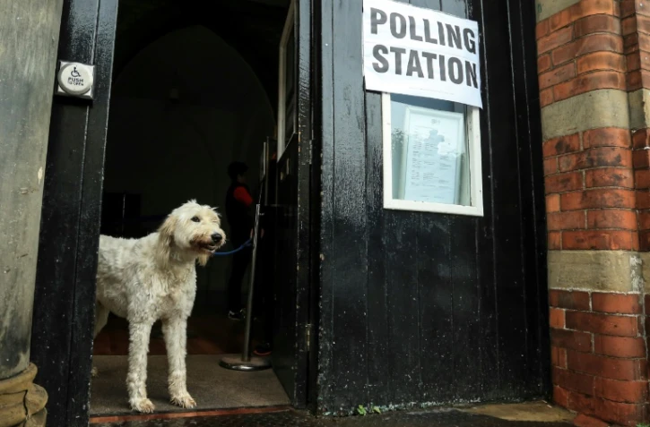 Un chien devant un bureau de vote de Howden, au nord-est de l'Angleterre, le 8 juin 2017