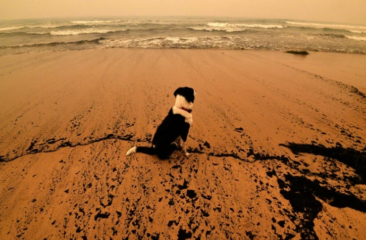 A torrid weekend of fires turned swathes of land in Australia into smouldering, blackened hellscapes