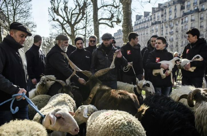 Des éleveurs lors d'une transhumance organisée en plein Paris, le 23 février 2018, à la veille de l'ouvertrure du salon de l'agriculture 