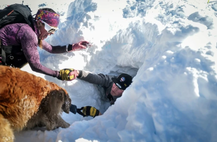 Un chien d'avalanche, des sauveteurs et des pisteurs participent à un entraînement à la station de ski de La Rosière, le 4 février 2025 en Savoie