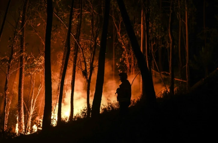 Pompiers combattant un incendie de forĂȘt Ă Casais do Vento, au Portugal, le 10 juillet 2022