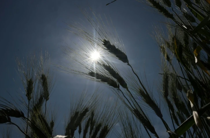 Cinq départements ont été placés dimanchee sous vigilance orange dans le sud de la France en prévision d'un nouvel épisode de canicule 
