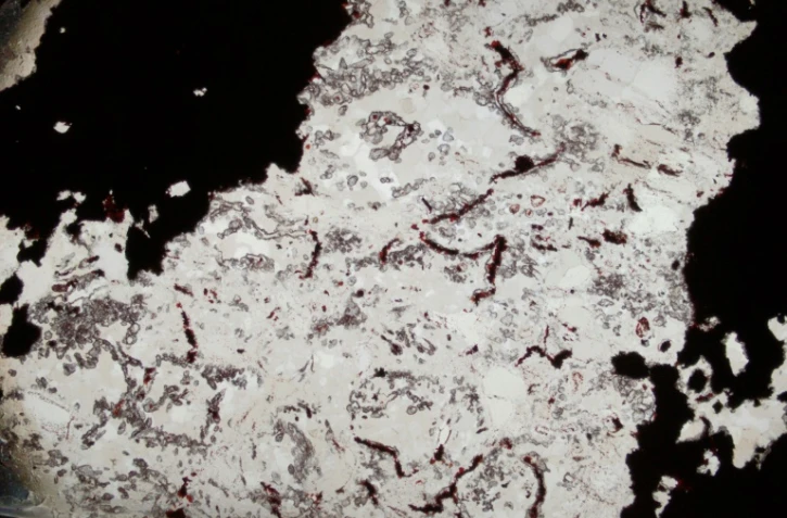 Les scientifiques ont mis en évidence ces microfossiles dans des couches de quartz du site géologique de la ceinture Nuvvuagittuq, au nord-est du Québec (Canada). 