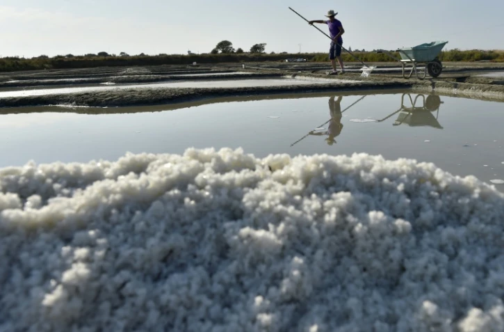 Récolte de la fleur de sel de Guérande, le 16 août 2016 dans les salines de Batz-sur-Mer (Loire-Atlantique)