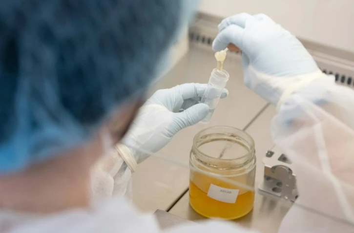 Une chercheuse procède à un test ADN sur un échantillon de miel dans le laboratoire de l'entreprise Sinsoma, le 19 mars 2025 à Voels, en Autriche