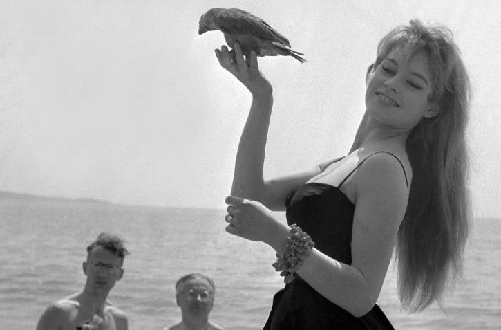 L'actrice Brigitte Bardot pose avec un perroquet lors du festival de Cannes, en mai 1956. Elle a été l'interprète de morceau du  compositeur Gérard Bourgeois auteur de centaines de chansons dont "La Madrague"
