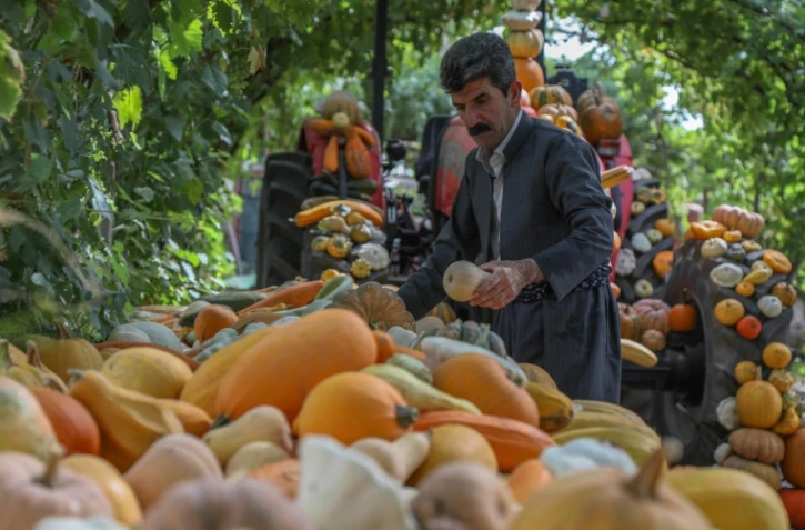 L'agriculteur kurde Azad Mohammad expose les produits de sa ferme près de Halabja, le 6 juillet 2022 en Irak